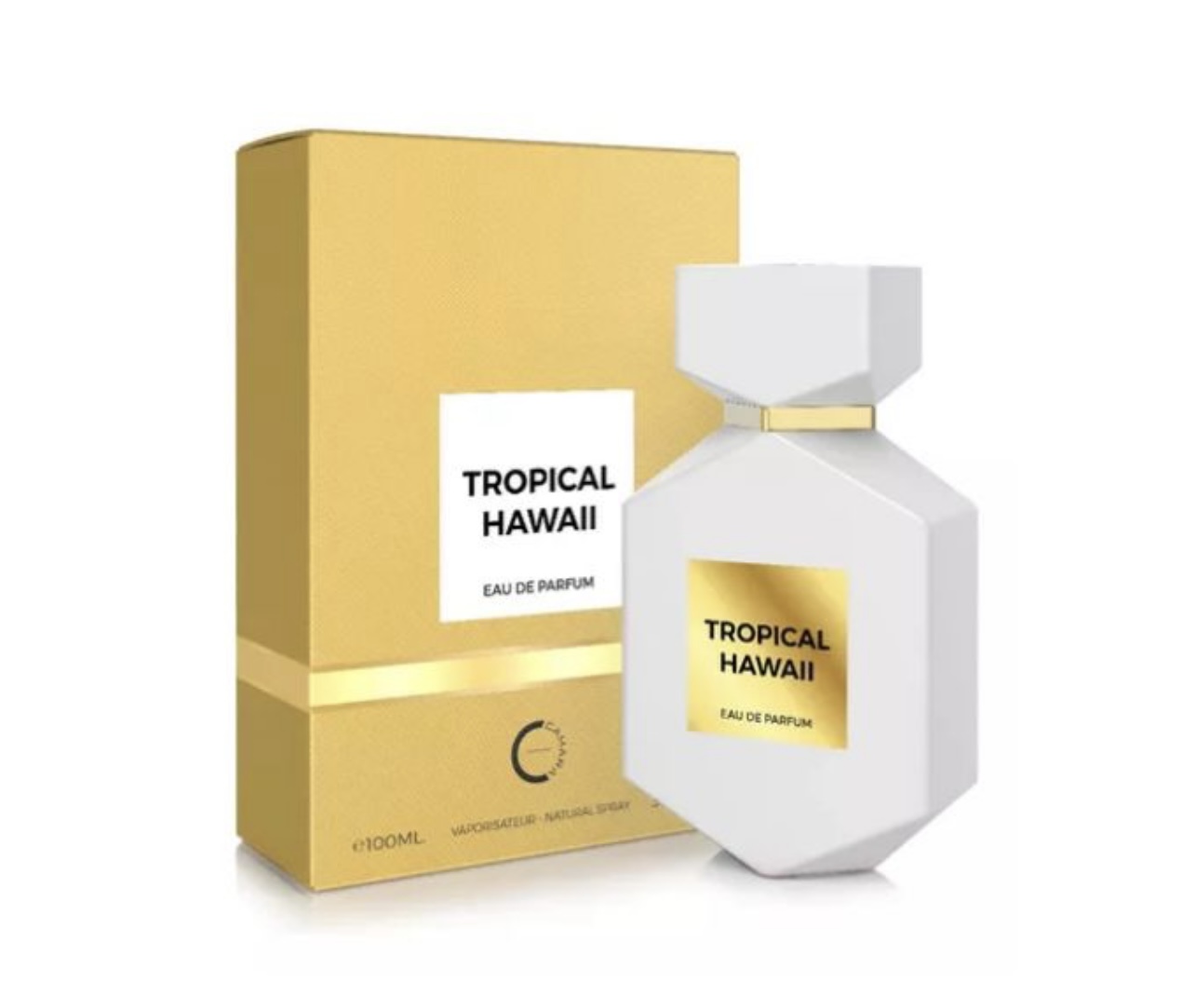 Tropical Hawaii Camara