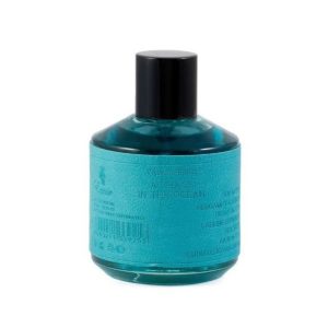 A Chaos In The Ocean