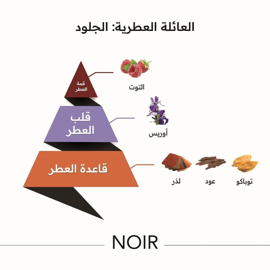 Noir - Image 5