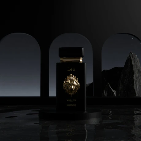 Leo - Image 4